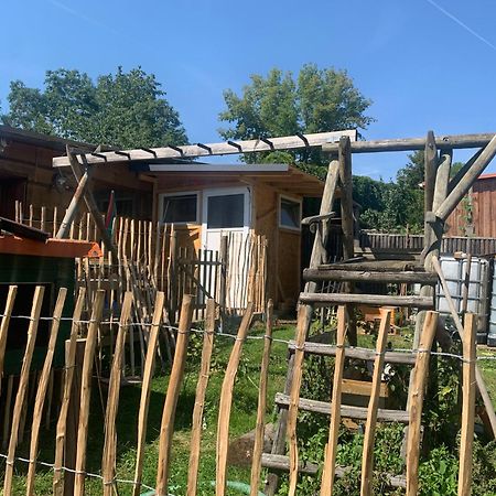 Blockhausvermietung "Vor Dem Groeperntor" كيدلينبورغ المظهر الخارجي الصورة